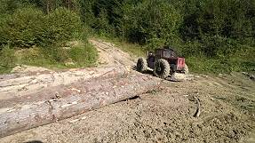 Mit alten sowjetischen Maschinen werden Kolosse durch den Wald gezerrt Mit alten sowjetischen Maschinen werden Kolosse durch den Wald gezerrt