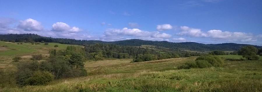 Ade Bieszczady! 