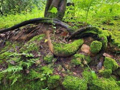 Sehenswerte Gebilde ...