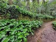 Einmalige Artenvielfalt ...