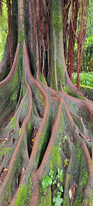 Wunderbares Naturschauspiel!