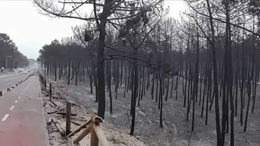 Spuren der Verwstung an der Zufahrtsstrae