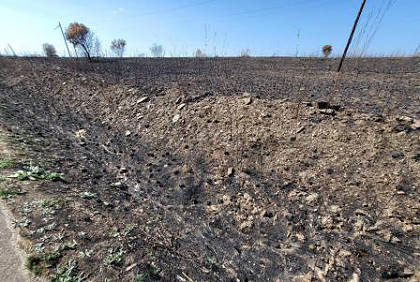 Verbrannte Fl�chen ...