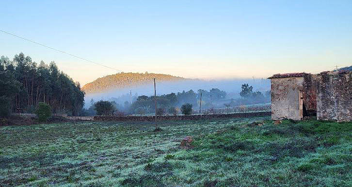 Wieder vertrautes Ambiente ...
