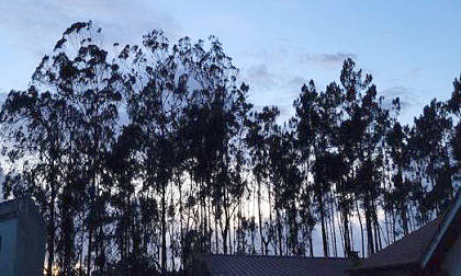 Ein Tiefdruckgebiet naht ...