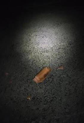 Woher kommt der Dachziegel?