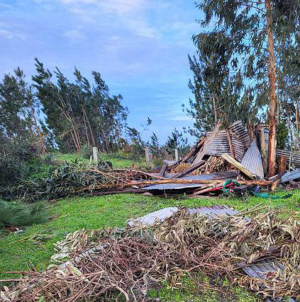 Umgest�rzte B�ume und gro�e Dachteile ...