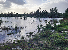 Wann l�uft das Wasser ab ..?