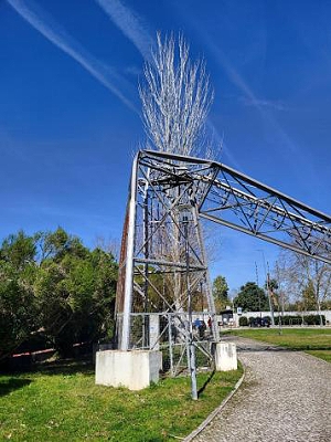 ... nach dem Sturm deutlich geknickt ...