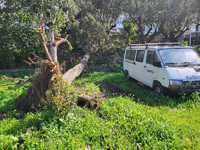 �brig geblieben ...