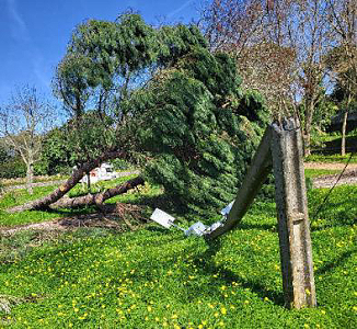... auf dem einstigen Womo-Stellplatz ...