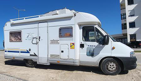 LERRY im Gl�ck: Die meisten Steine haben ihn nicht getroffen ...