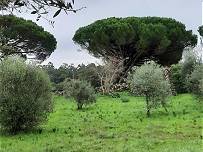 ... in landschaftlich schner Umgebung ...
