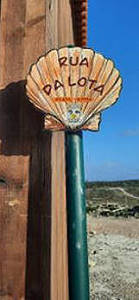 Straennamen mit Muschel als Hintergrund