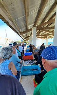 Viel Betrieb in der Auktionshalle 