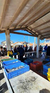 Es bleibt nicht mehr viel Fisch im Uferbereich brig ... 