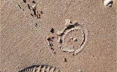 Der "Star" der Verschmutzung: Gewerbliche Plastikkugel ...