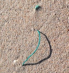 Rest eines Kunststoffseils