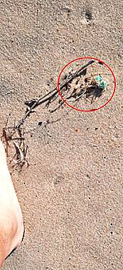 Stck eines Pastiknetzes: Bauteil fr ein Vogelnest??