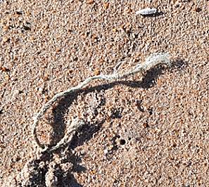 Und noch ein Kunststoffseil ...