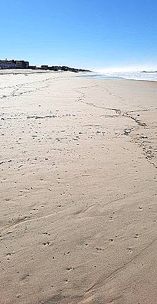 Bei Vieira: Auf den ersten Blick ein schöner Sandstrand ...