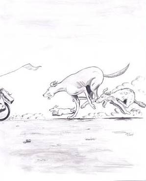 ... mit Begleitung ...