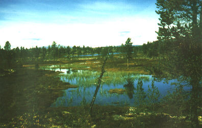 Die fantastische Landschaft zwischen den Seen verfhrt zum herumstbern ...