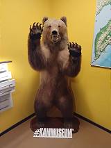 Der Bär darf nicht fehlen ... Der Bär darf nicht fehlen ...