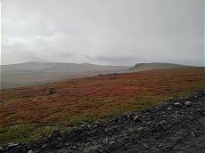 Vulkanisches Gelnde ...