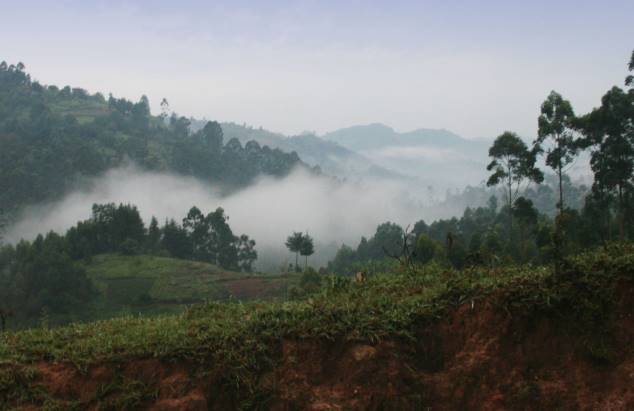 Die Virunga Berge ...