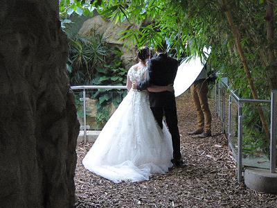 Ob sie wissen, wer sie beobachtet?