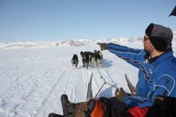 Grönland: Da lang ... Grönland: Da lang ...