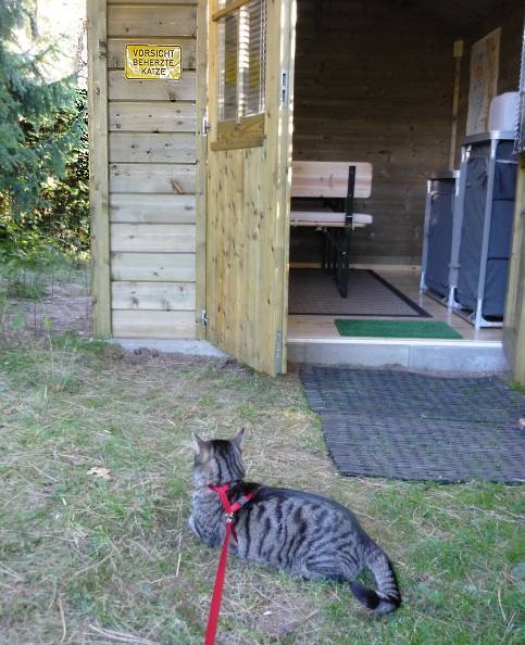 Abgelegene Waldhtte mit reiender Bestie ...