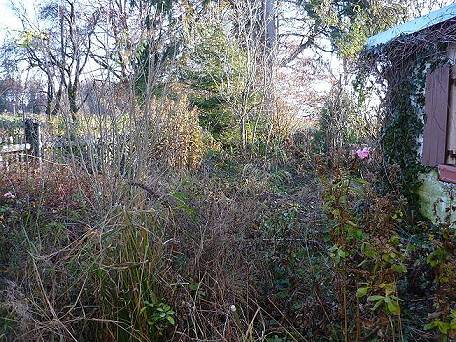 ... und unser Nutzgarten fr die Autarkie ...