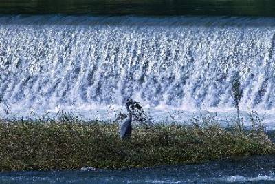 Naturschönheit Aare: Limmatfälle Naturschönheit Aare: Limmatfälle
