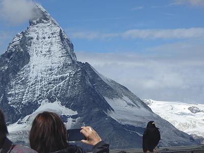 Die Jochdohlen und IHR Berg ... Die Jochdohlen und IHR Berg ...