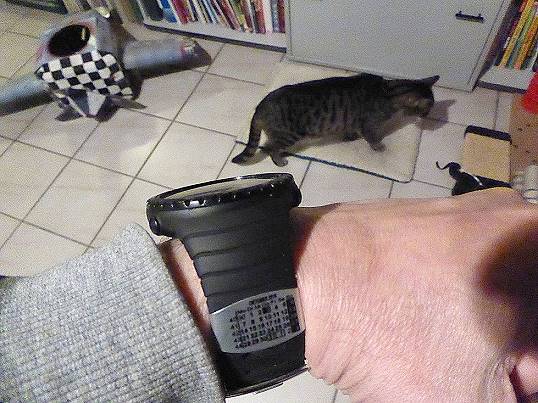 Uhrkalender muss sein ...