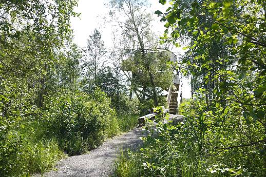 Einer der hinteren Lintutorni in Siikalahti ...