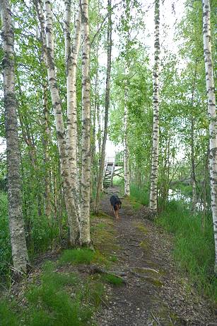 Zum letzten Vogelturm ...