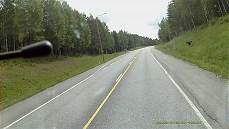 Schwarze Gestalt im Augenwinkel ...