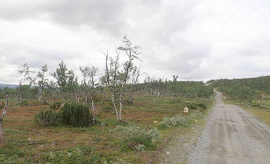 Wieder weiter Blick in die Landschaft ...