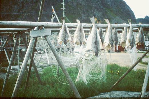 Frher roch es in  noch nach Fisch ...