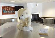 Bitte den Polarbären nicht berühren! Bitte den Polarbären nicht berühren!