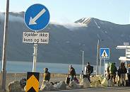 Auch Camper machen sich auf zum nahen Platz Auch Camper machen sich auf zum nahen Platz