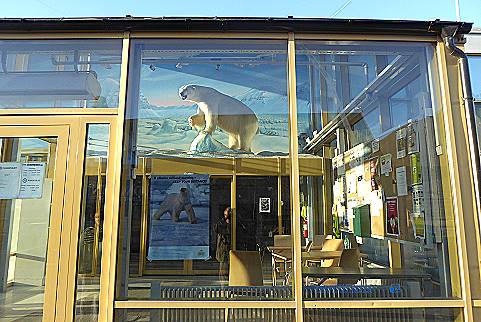 Auch hier über allem wie immer der Eisbär Auch hier über allem wie immer der Eisbär