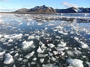 Ausreichend Eis fr Getrnke 