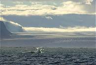 Erste Eisschollen voraus