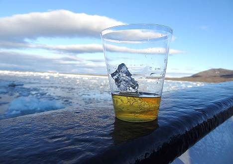 Whiskey mit Gletschereis