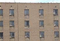 Wer wohnt denn hier?