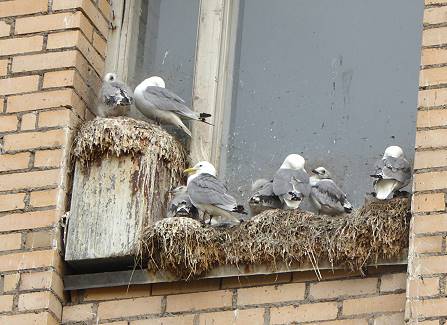 Die Einwohner leben heute lieber drauen ...
